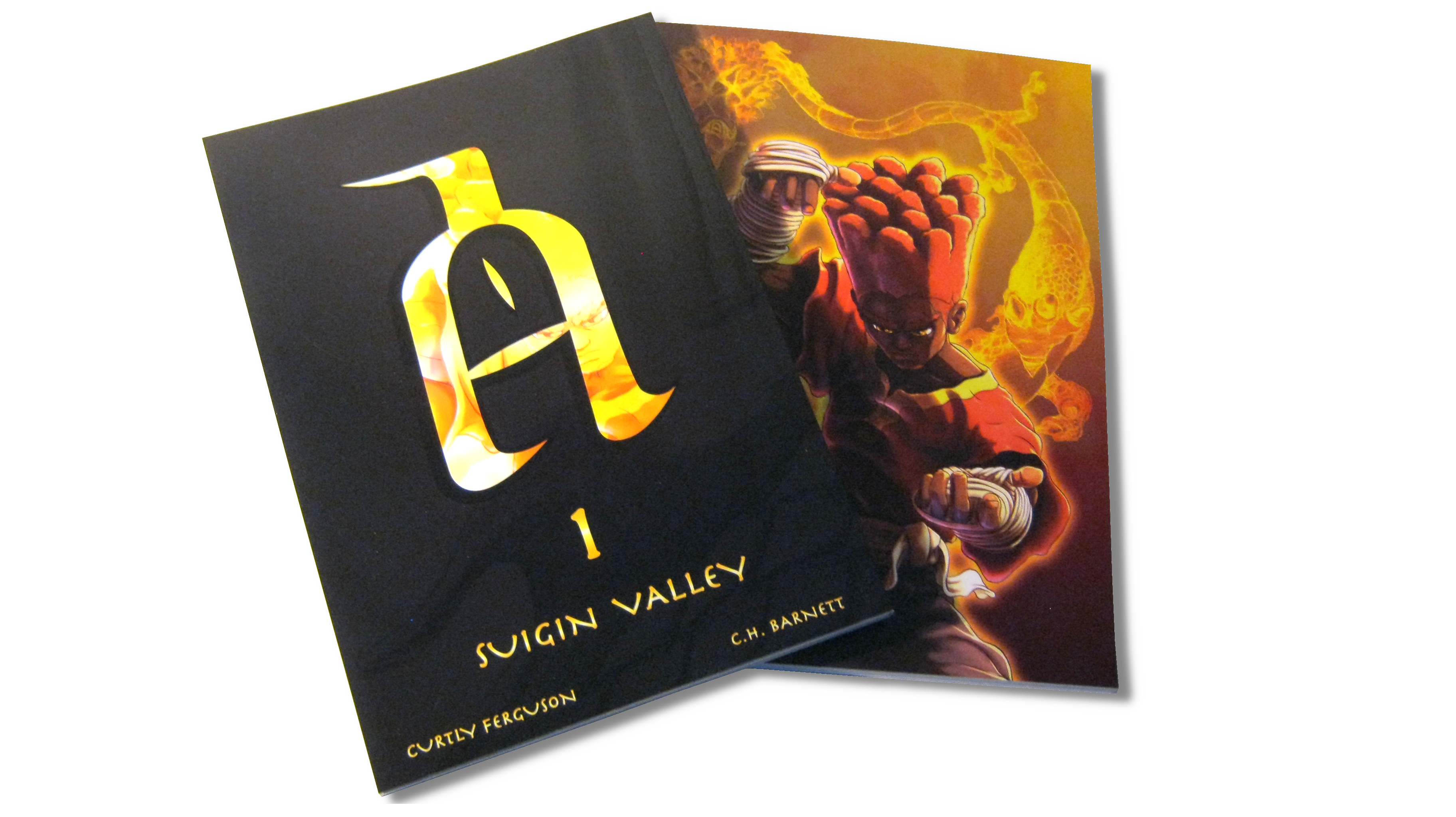 Suigin Valley book