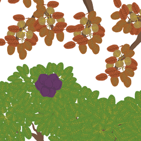 #15 Changing of the Seasons